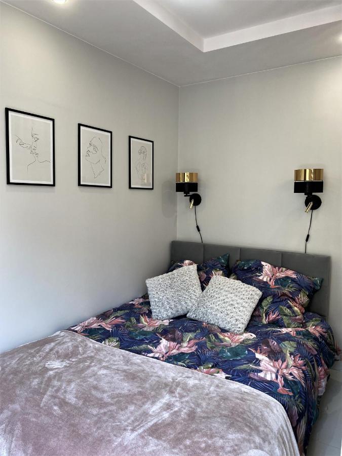 דירות סאנוק Apartament Zielona Nad Sanem מראה חיצוני תמונה
