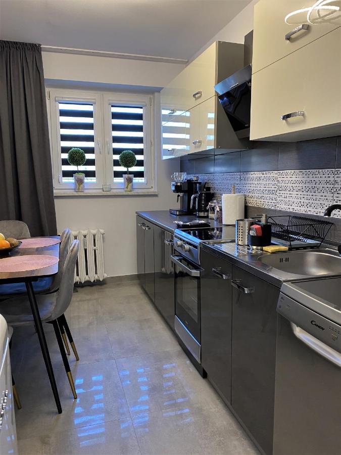 דירות סאנוק Apartament Zielona Nad Sanem מראה חיצוני תמונה