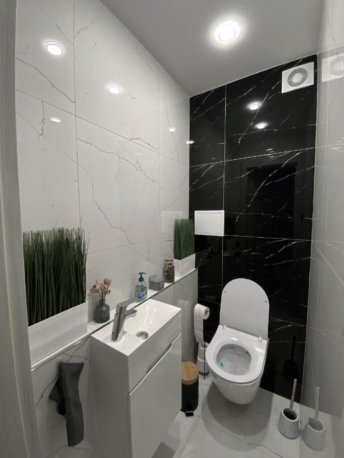 דירות סאנוק Apartament Zielona Nad Sanem מראה חיצוני תמונה