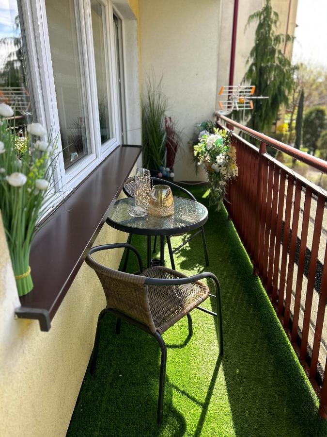 דירות סאנוק Apartament Zielona Nad Sanem מראה חיצוני תמונה